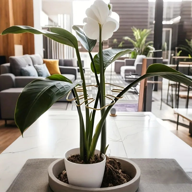 Decorative Garden Plant Support – Ideal for Healthy Growth