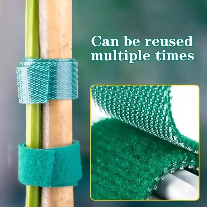 Self-Adhesive Green Plant Ties – Adjustable & Reusable Garden Fasteners