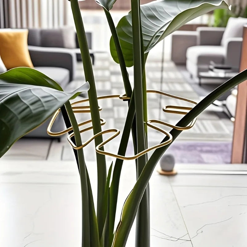 Decorative Garden Plant Support – Ideal for Healthy Growth