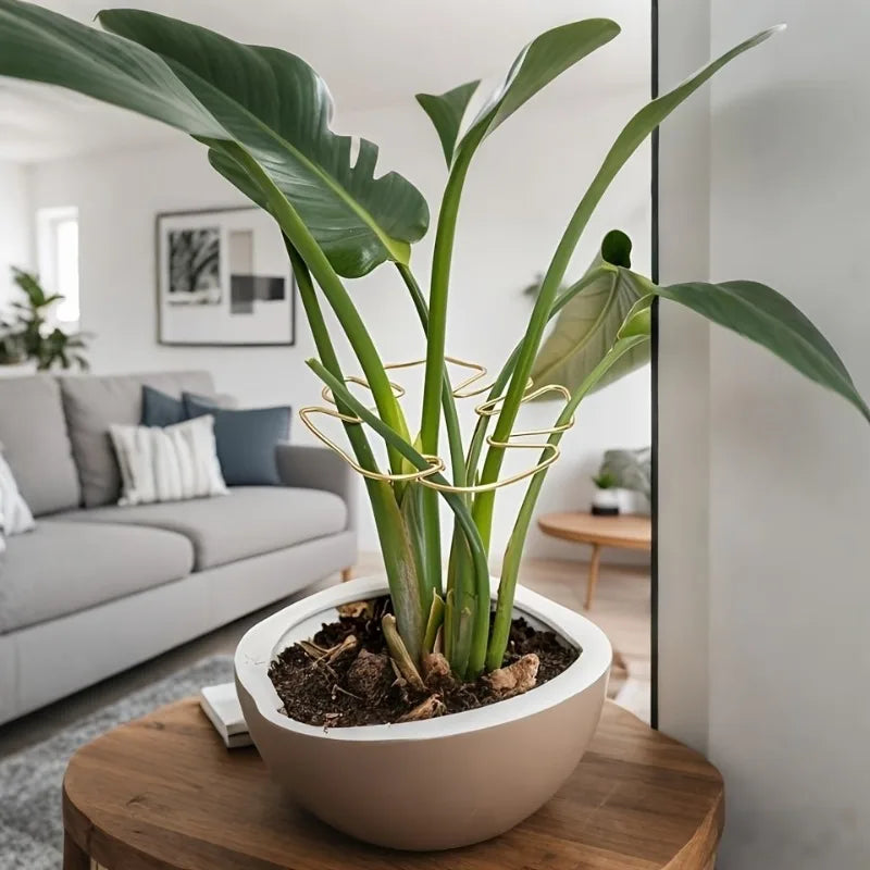 Decorative Garden Plant Support – Ideal for Healthy Growth