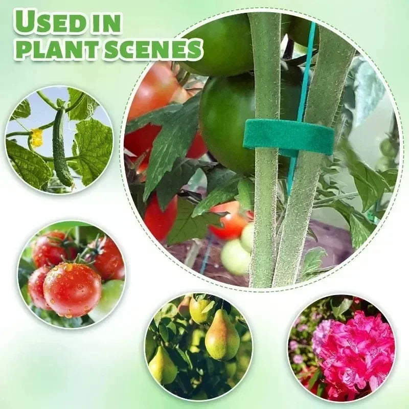 Self-Adhesive Green Plant Ties – Adjustable & Reusable Garden Fasteners