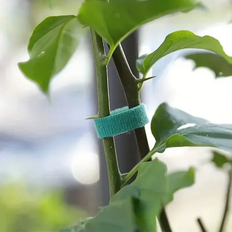Self-Adhesive Green Plant Ties – Adjustable & Reusable Garden Fasteners